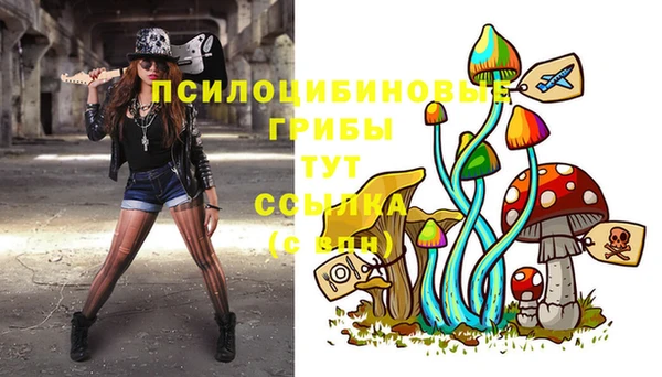 трава Горнозаводск