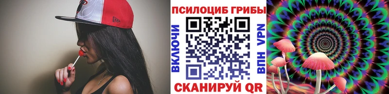 Псилоцибиновые грибы Cubensis  Арзамас 